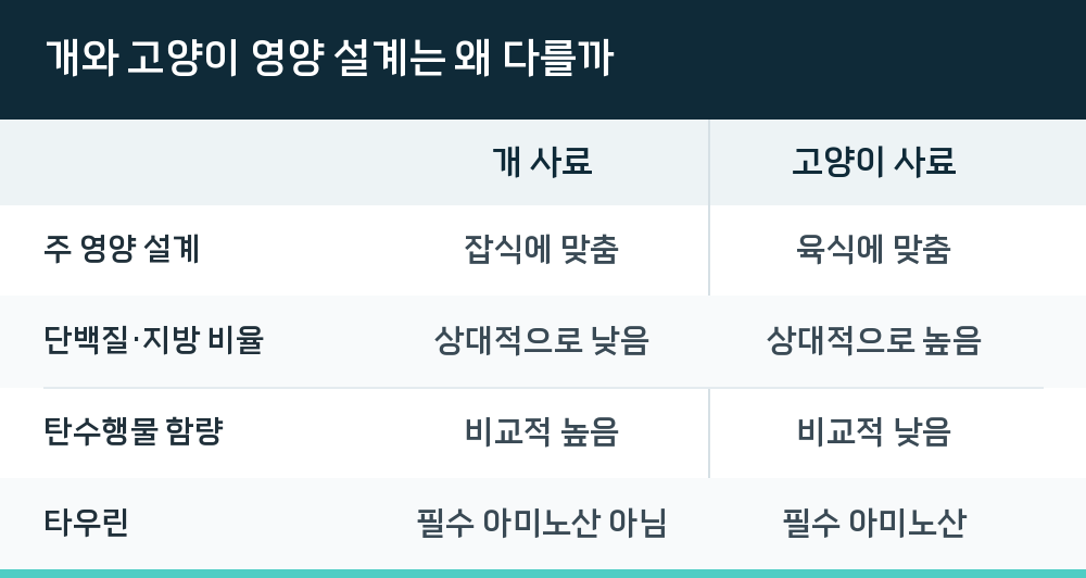 개와 고양이 영양 설계는 왜 다를까