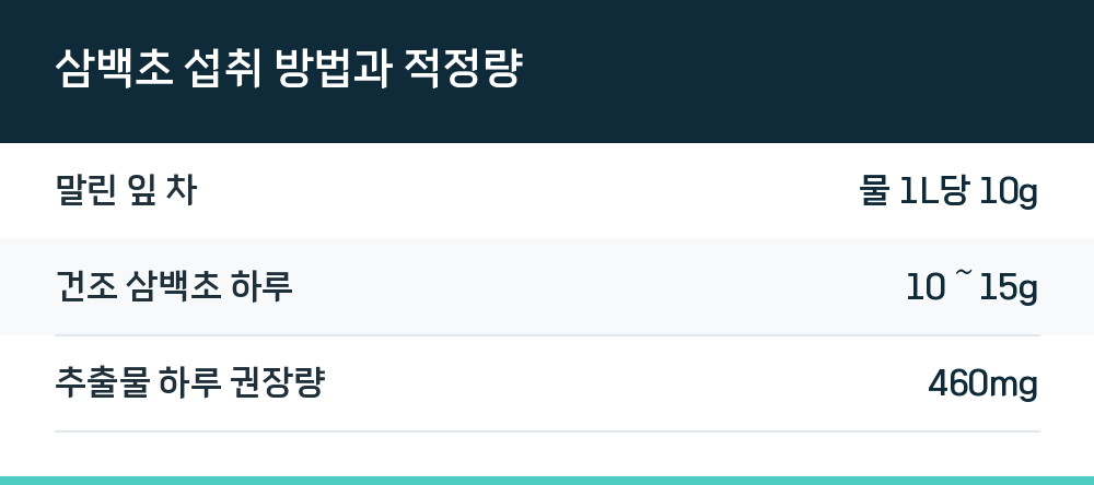 삼백초 섭취 방법과 적정량