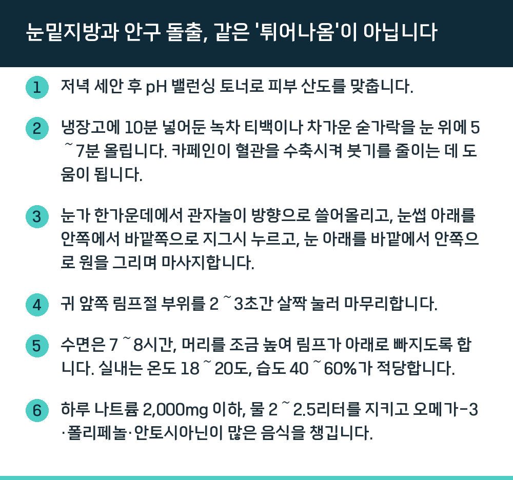 눈밑지방과 안구 돌출, 같은 '튀어나옴'이 아닙니다