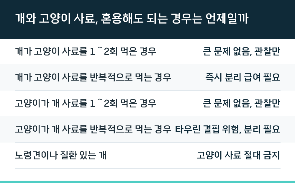 개와 고양이 사료, 혼용해도 되는 경우는 언제일까