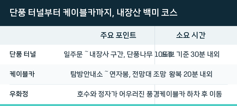 단풍 터널부터 케이블카까지, 내장산 백미 코스