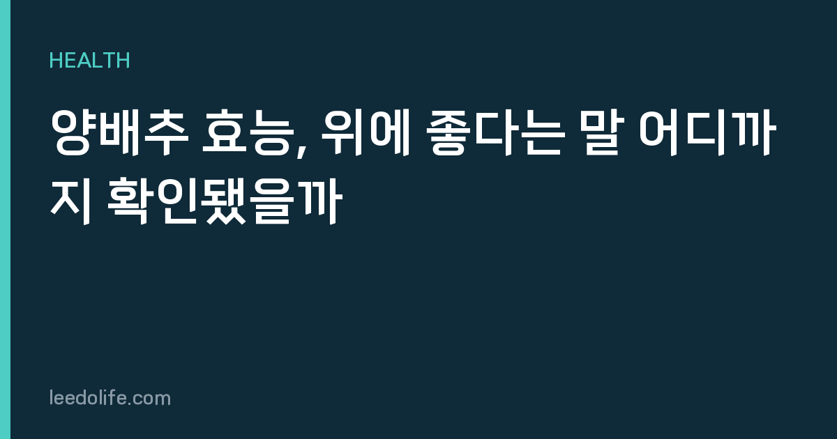양배추 효능, 위에 좋다는 말 어디까지 확인됐을까