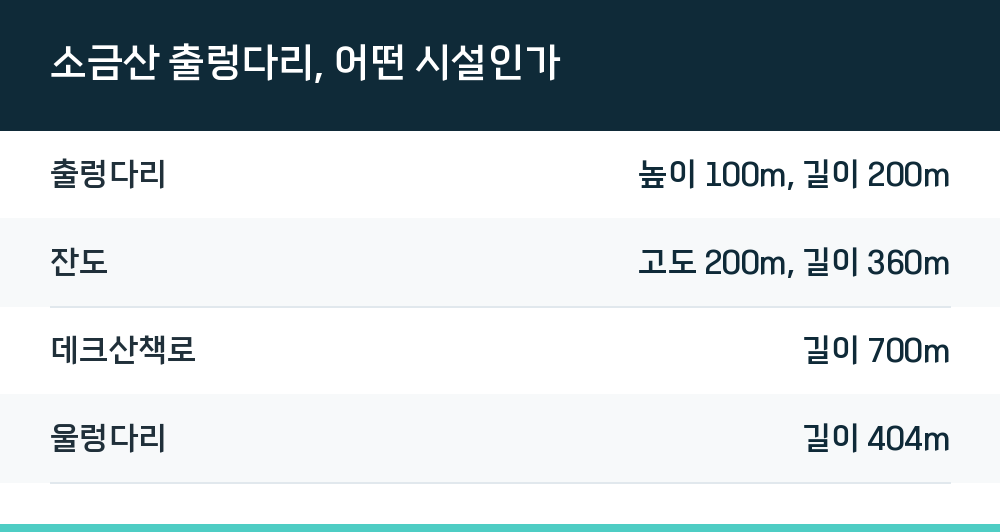 소금산 출렁다리, 어떤 시설인가