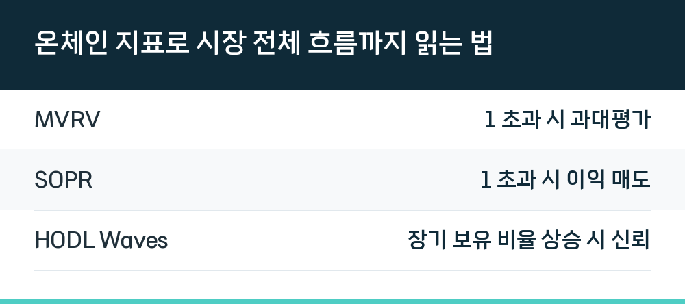 온체인 지표로 시장 전체 흐름까지 읽는 법