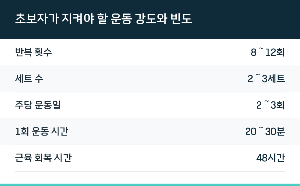 초보자가 지켜야 할 운동 강도와 빈도