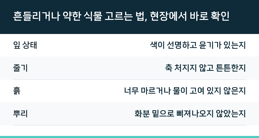 흔들리거나 약한 식물 고르는 법, 현장에서 바로 확인