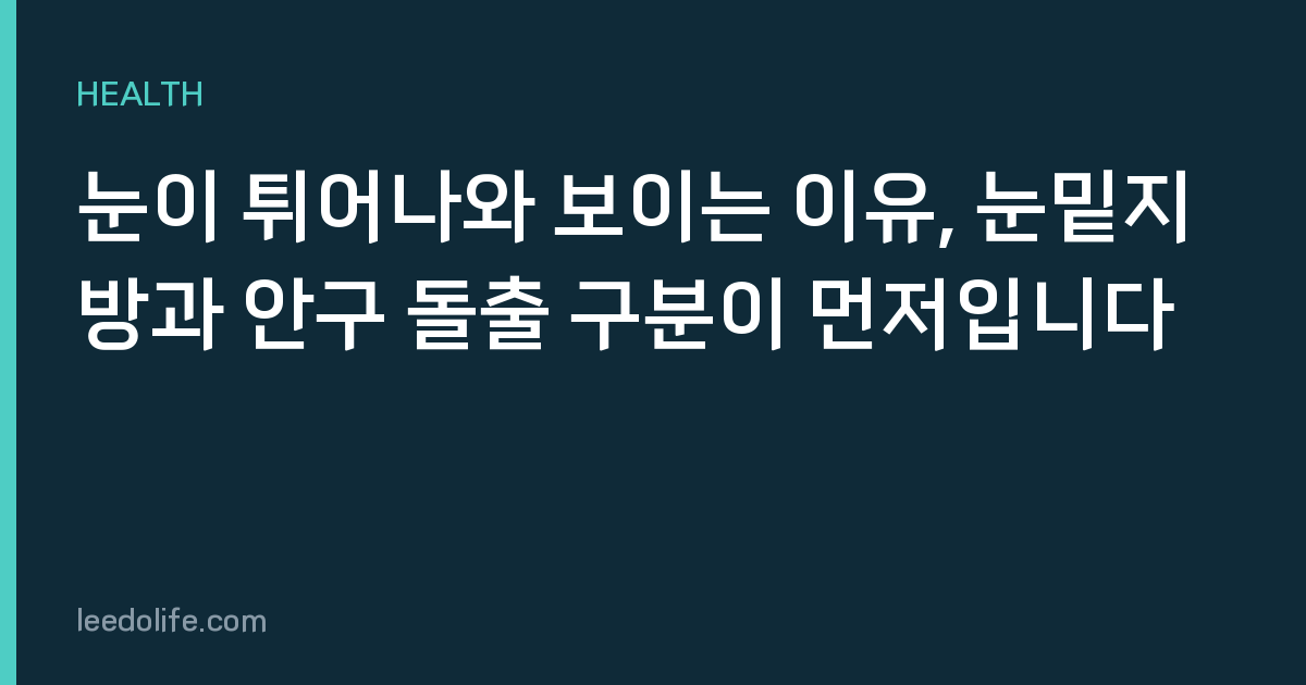 눈이 튀어나와 보이는 이유, 눈밑지방과 안구 돌출 구분이 먼저입니다