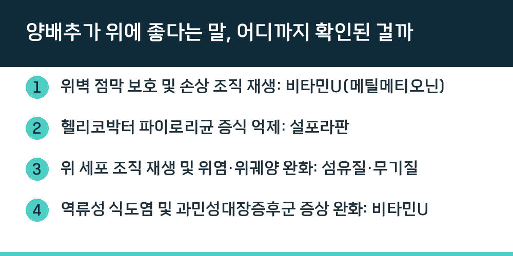 양배추가 위에 좋다는 말, 어디까지 확인된 걸까