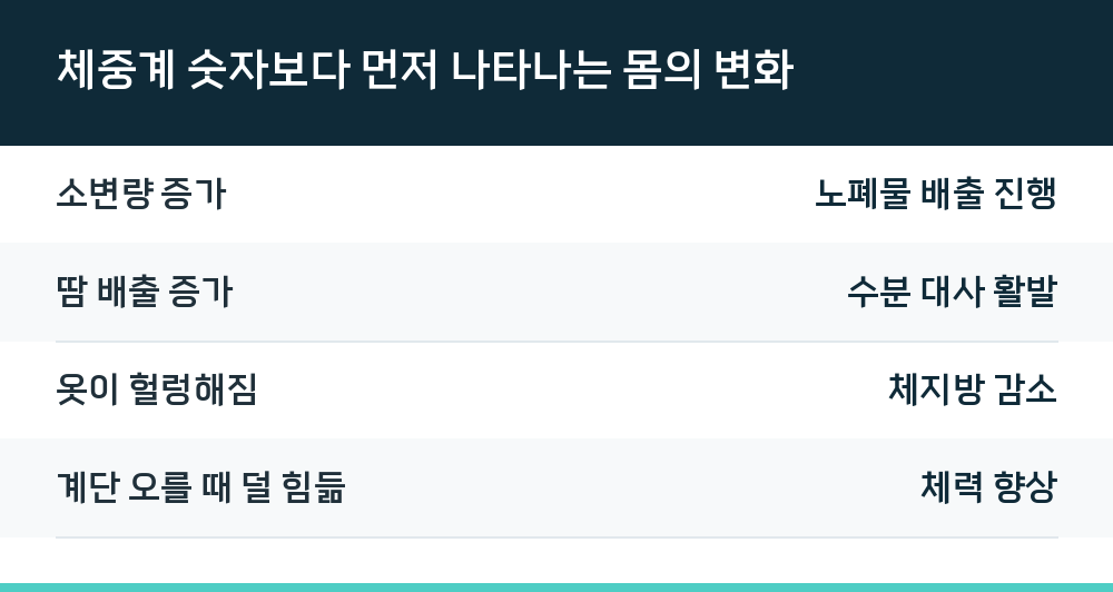 체중계 숫자보다 먼저 나타나는 몸의 변화