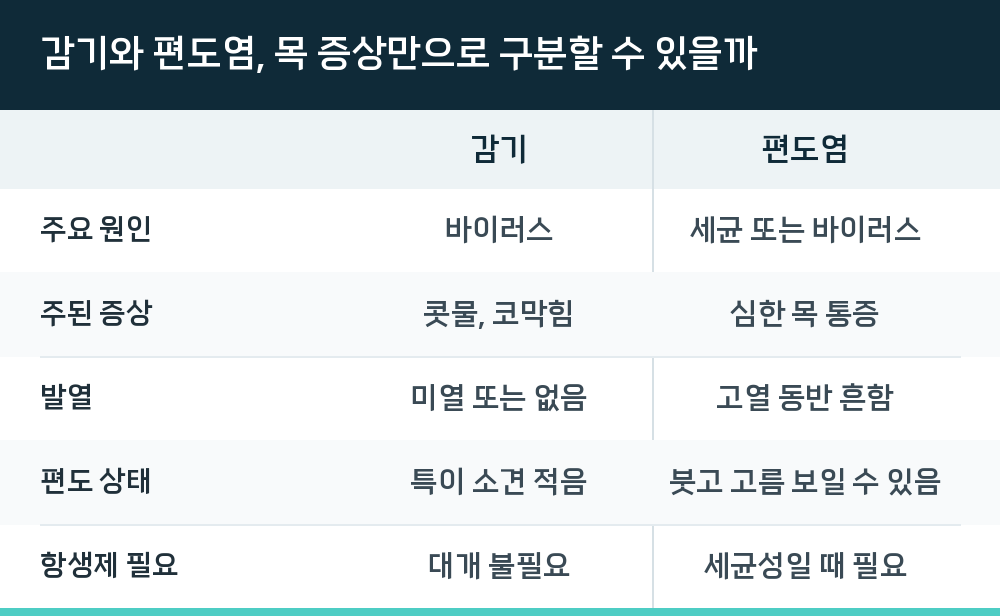 감기와 편도염, 목 증상만으로 구분할 수 있을까