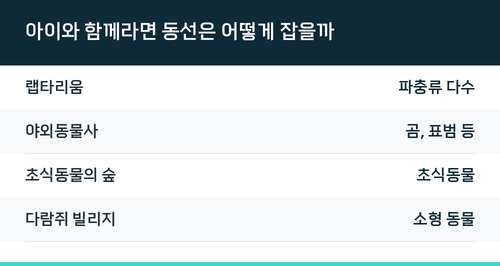 아이와 함께라면 동선은 어떻게 잡을까