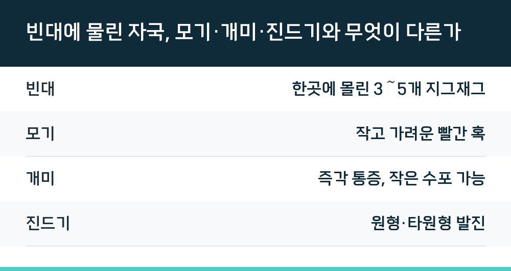 빈대에 물린 자국, 모기·개미·진드기와 무엇이 다른가