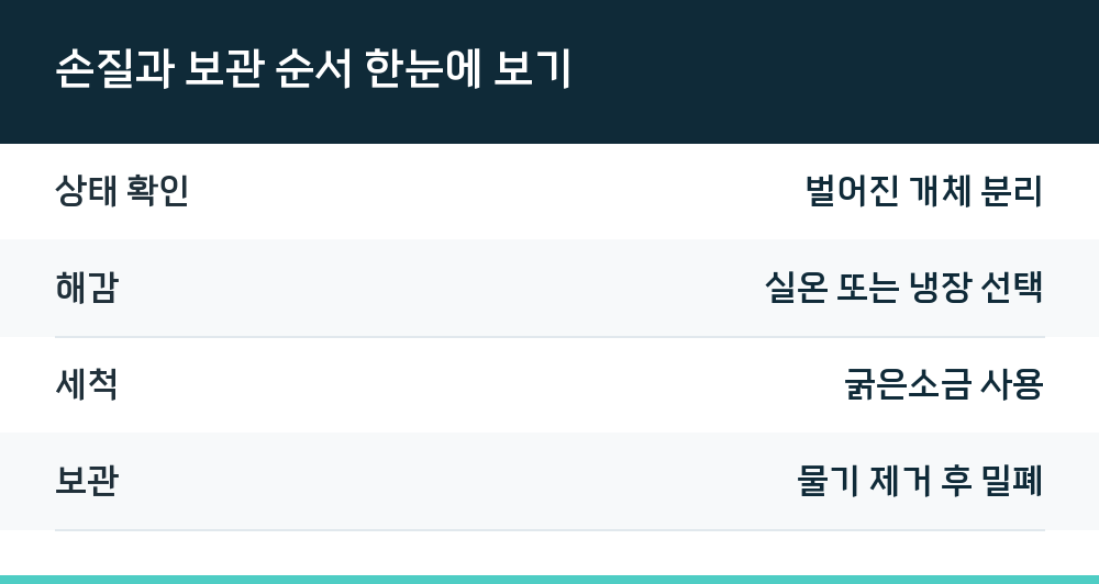 손질과 보관 순서 한눈에 보기