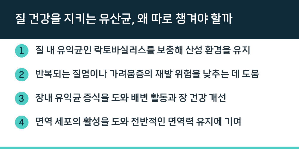 질 건강을 지키는 유산균, 왜 따로 챙겨야 할까