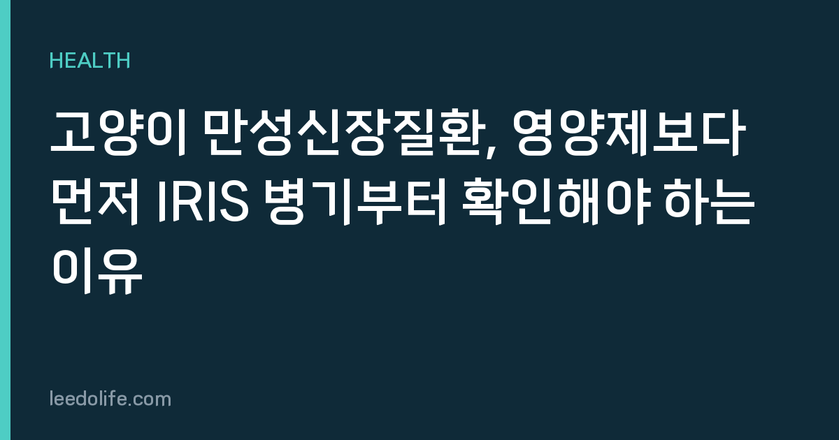 고양이 만성신장질환, 영양제보다 먼저 IRIS 병기부터 확인해야 하는 이유