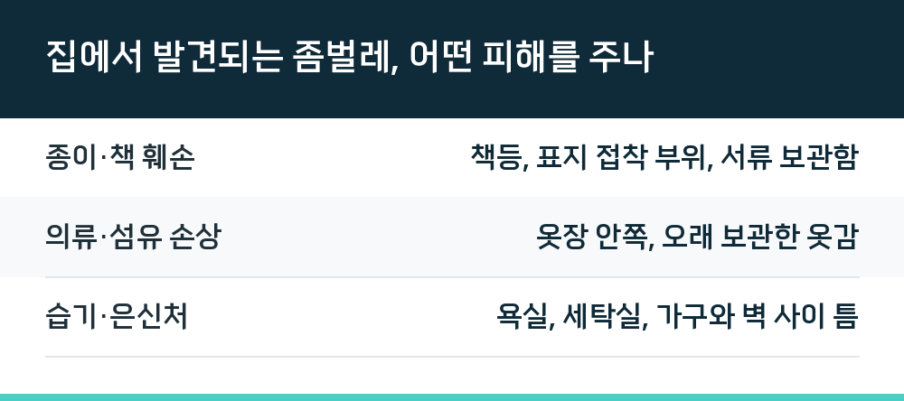 집에서 발견되는 좀벌레, 어떤 피해를 주나