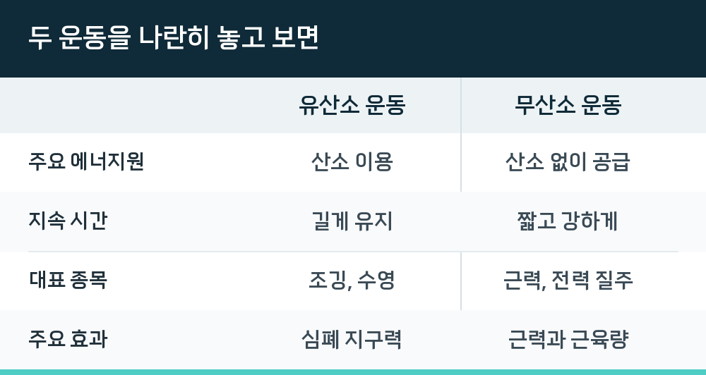 두 운동을 나란히 놓고 보면