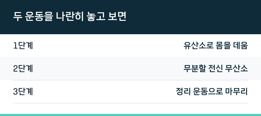 두 운동을 나란히 놓고 보면
