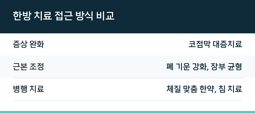 한방 치료 접근 방식 비교