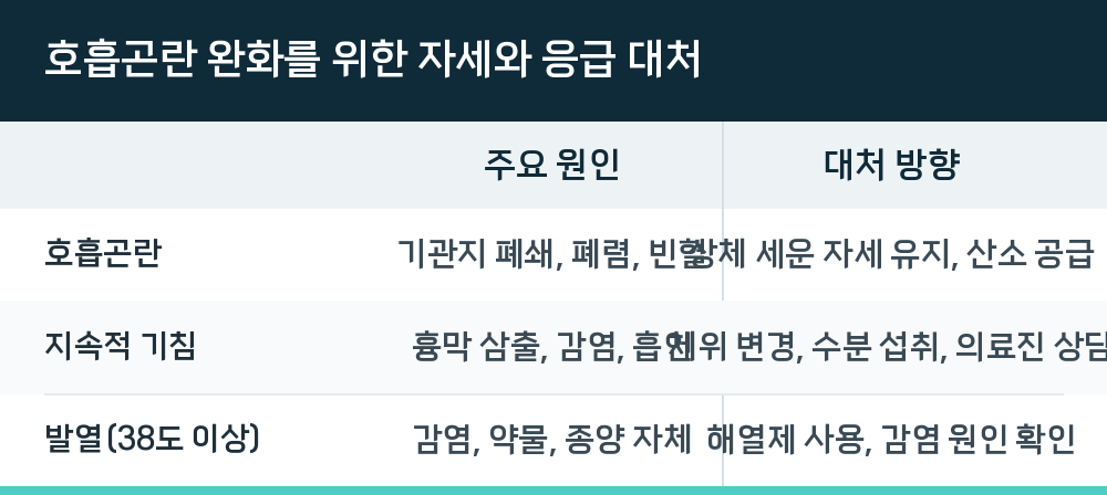 호흡곤란 완화를 위한 자세와 응급 대처