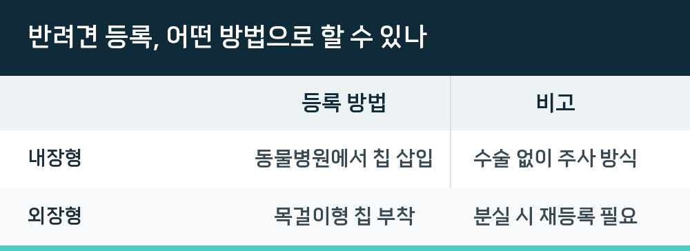 반려견 등록, 어떤 방법으로 할 수 있나