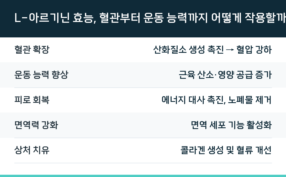 L-아르기닌 효능, 혈관부터 운동 능력까지 어떻게 작용할까