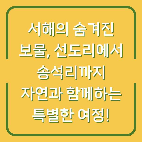 서해의 숨겨진 보물, 선도리에서 송석리까지 자연과 함께하는 특별한 여정!