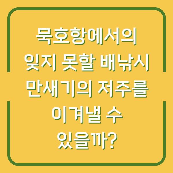 묵호항에서의 잊지 못할 배낚시 만새기의 저주를 이겨낼 수 있을까?