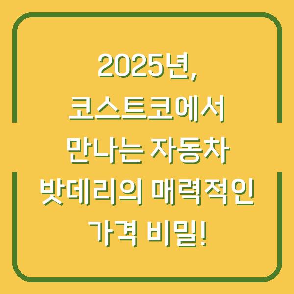 2025년, 코스트코에서 만나는 자동차 밧데리의 매력적인 가격 비밀!