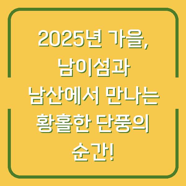 2025년 가을, 남이섬과 남산에서 만나는 황홀한 단풍의 순간!