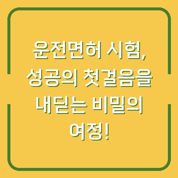 운전면허 시험, 성공의 첫걸음을 내딛는 비밀의 여정!