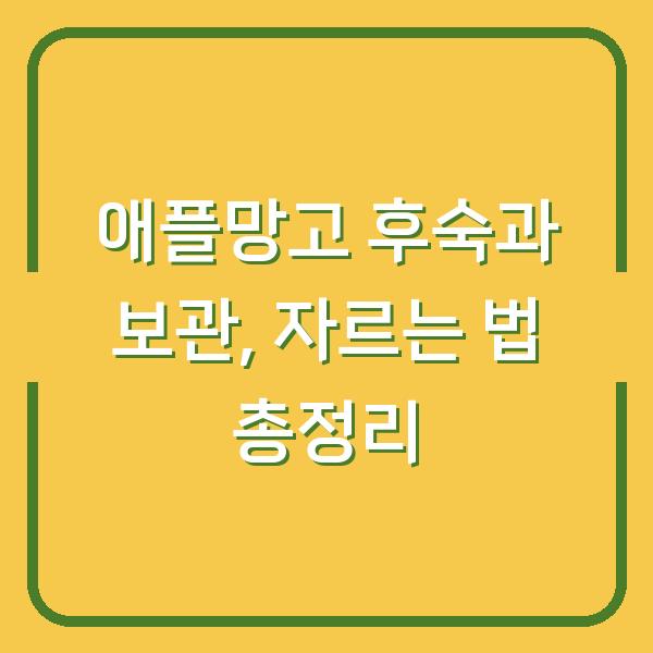 애플망고 후숙과 보관, 자르는 법 총정리