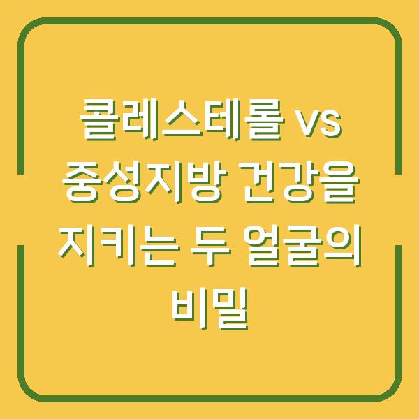 콜레스테롤 vs 중성지방 건강을 지키는 두 얼굴의 비밀