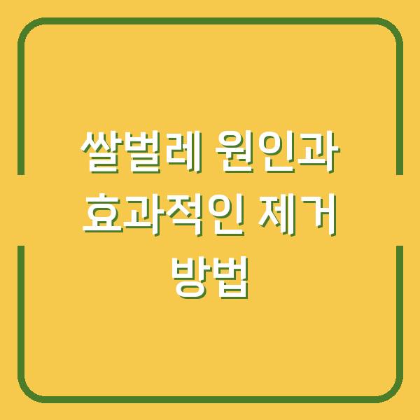 쌀벌레 원인과 효과적인 제거 방법