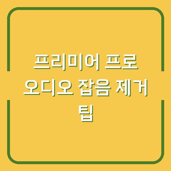 프리미어 프로 오디오 잡음 제거 팁