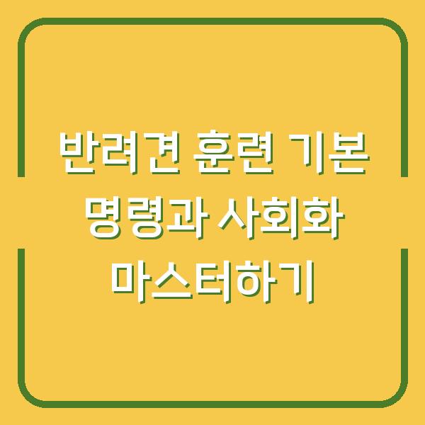 반려견 훈련 기본 명령과 사회화 마스터하기