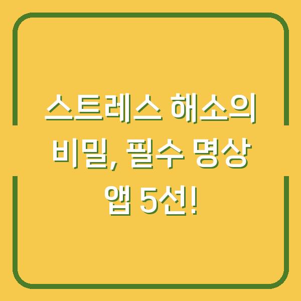스트레스 해소의 비밀, 필수 명상 앱 5선!