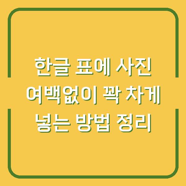 한글 표에 사진 여백없이 꽉 차게 넣는 방법 정리