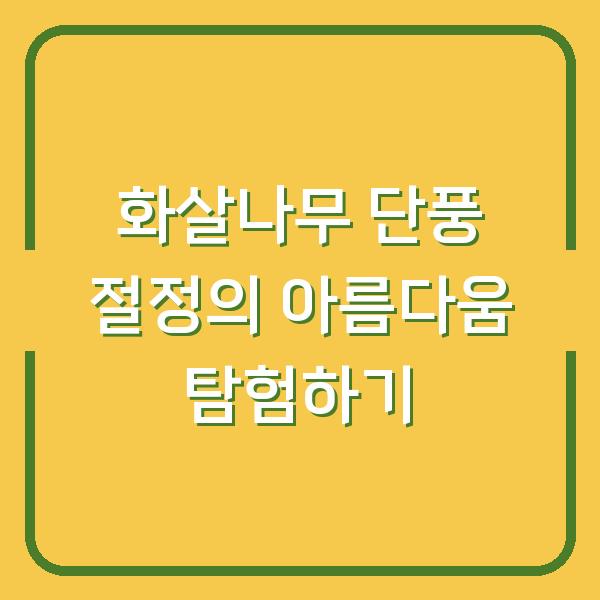 화살나무 단풍 절정의 아름다움 탐험하기