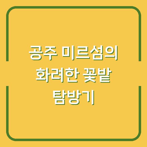 공주 미르섬의 화려한 꽃밭 탐방기