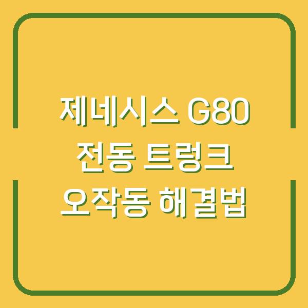 제네시스 G80 전동 트렁크 오작동 해결법