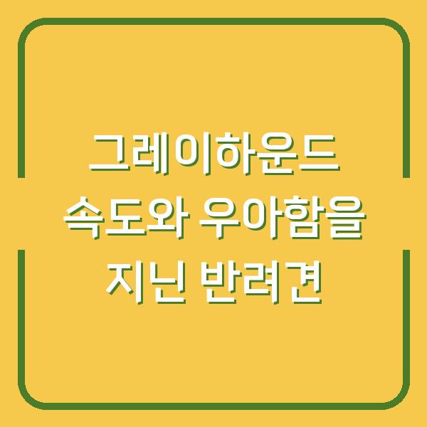 그레이하운드 속도와 우아함을 지닌 반려견