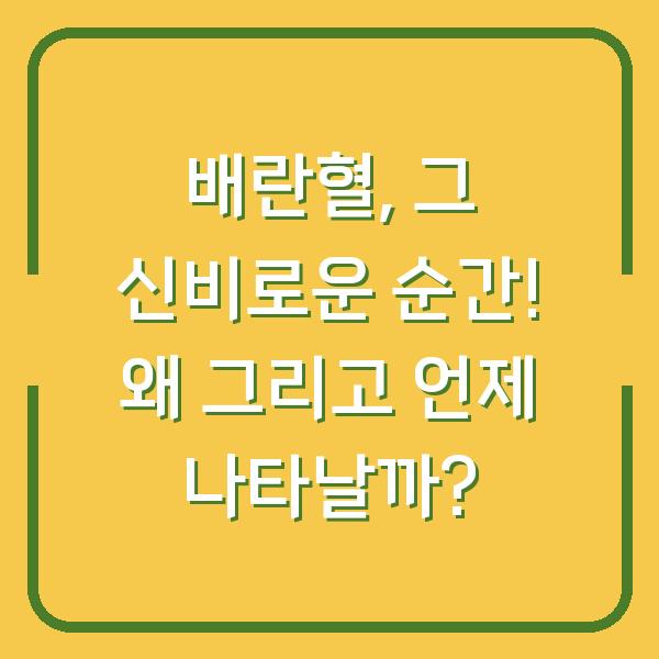 썸네일