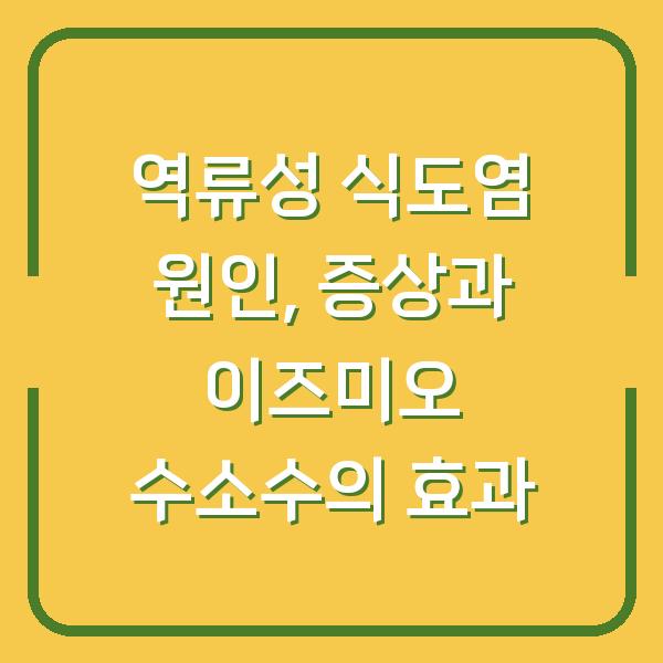 역류성 식도염 원인, 증상과 이즈미오 수소수의 효과