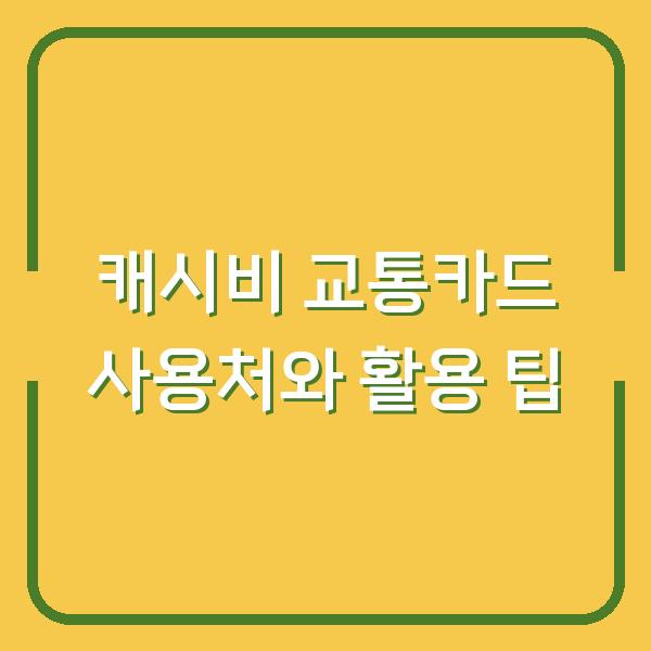 캐시비 교통카드 사용처와 활용 팁