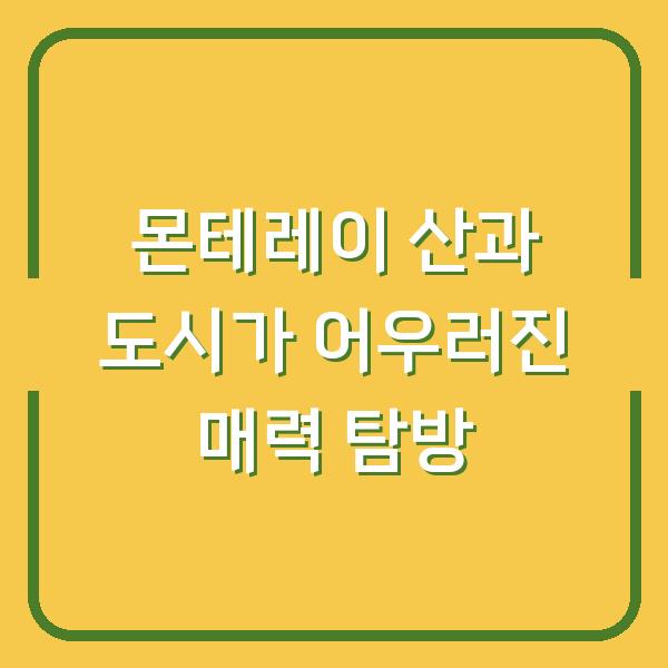 몬테레이 산과 도시가 어우러진 매력 탐방
