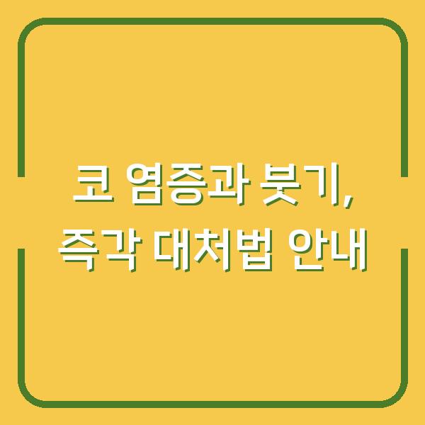 코 염증과 붓기, 즉각 대처법 안내