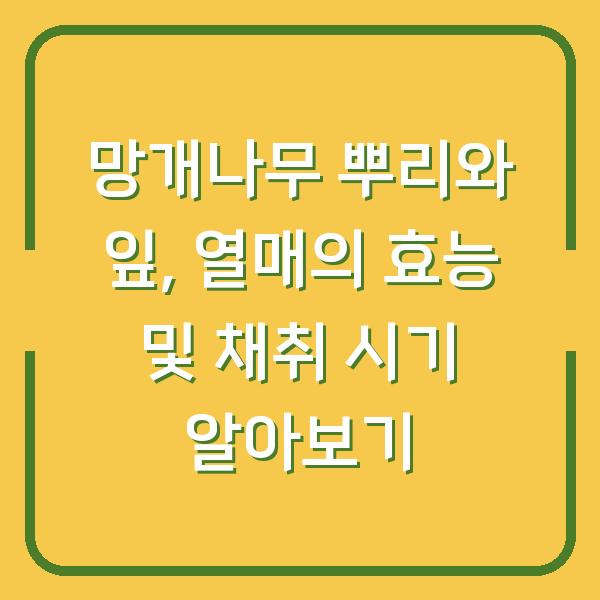 망개나무 뿌리와 잎, 열매의 효능 및 채취 시기 알아보기