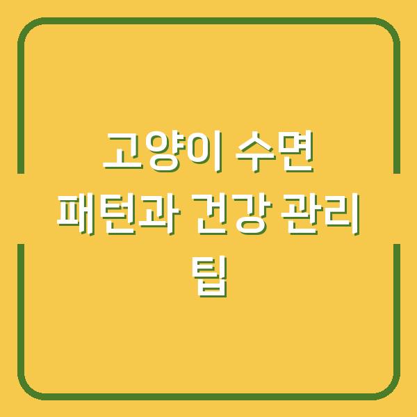 고양이 수면 패턴과 건강 관리 팁