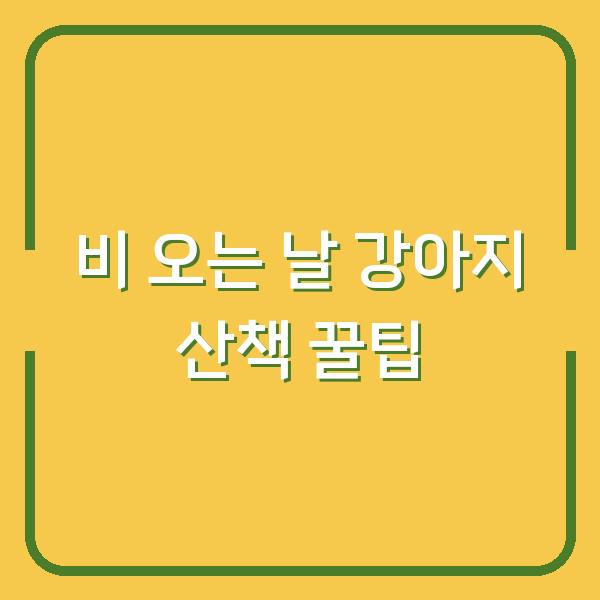 비 오는 날 강아지 산책 꿀팁